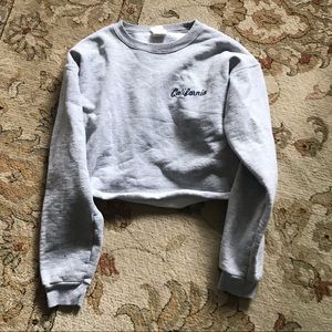 Brandy Melville / John Galt Cropped Gray Sweater